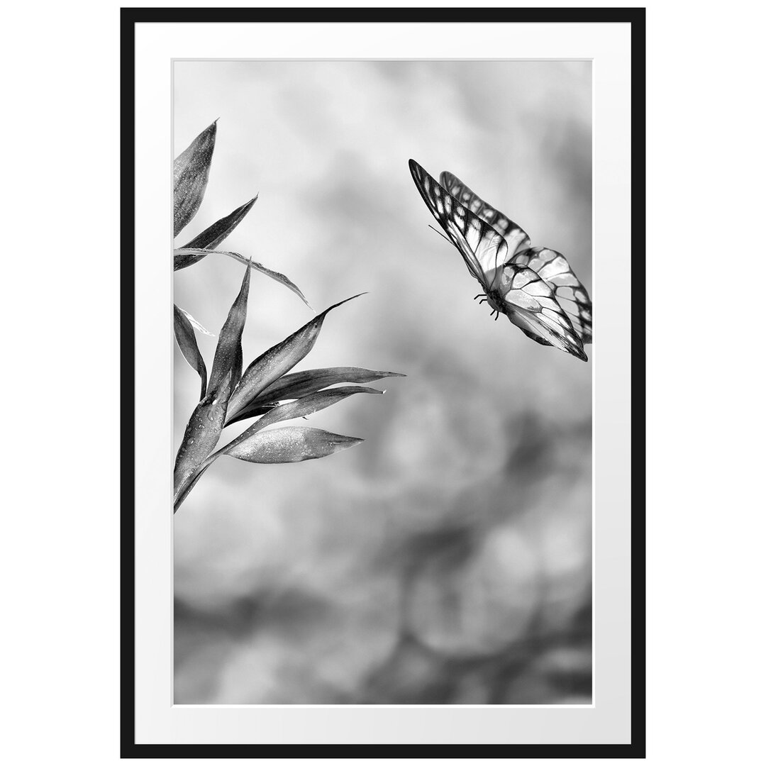 Gerahmtes Poster Bambus mit Schmetterling