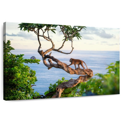 Singe balinais Brampt