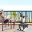 69cm H Cat Tree-1562889697