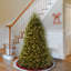The Holiday Aisle® 9ft. Dunhill Fir Tree with Clear Lights-795988252-795988241