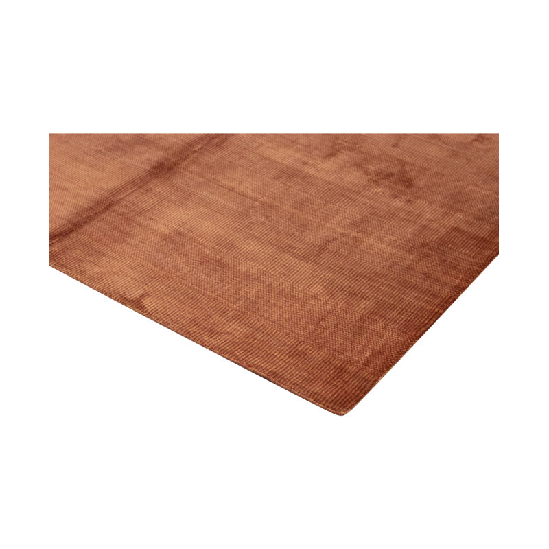 Area Rug in Rust Brown