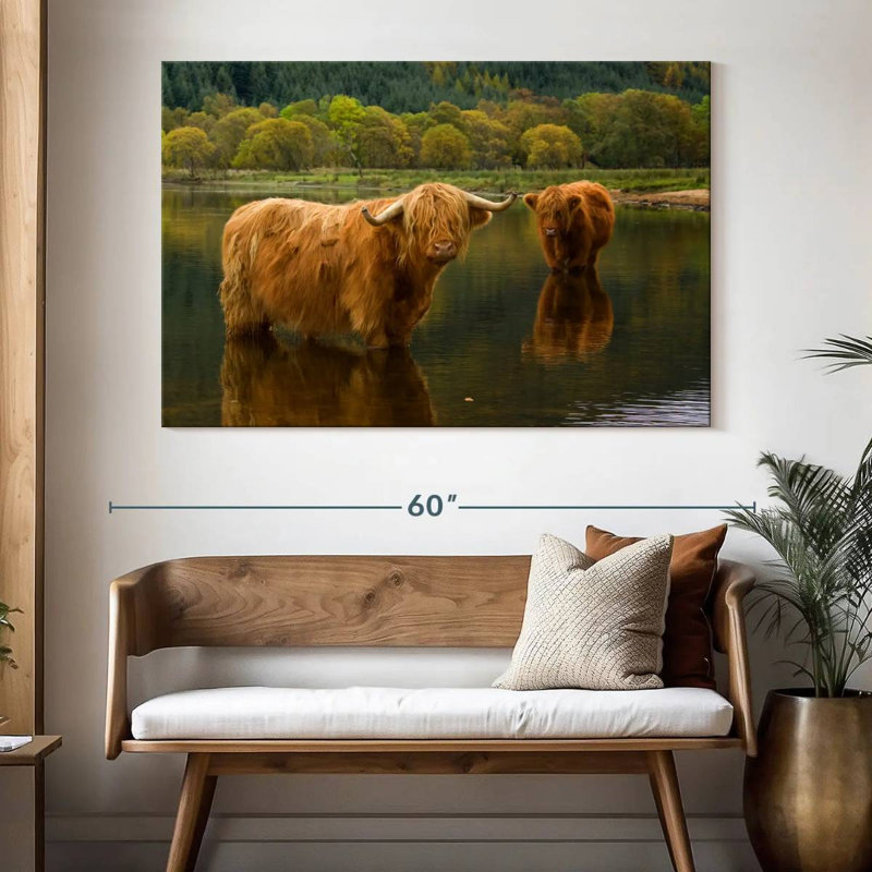 Brampt Bathing Highland Cow, H 34 po x l 51 po