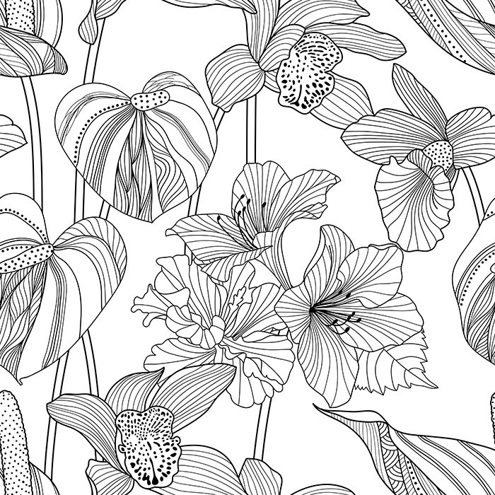 Latissia Matte Mural, 208 x 146cm