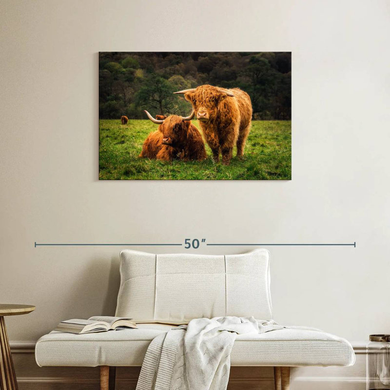 Brampt Highland Cow Friends, H 24 po x l 36 po