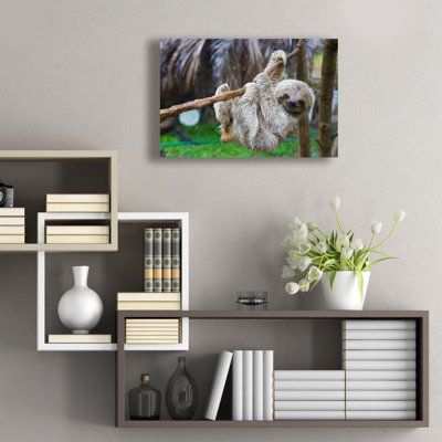 " Baby Sloth " Print
