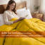 Édredon toutes saisons réversible en duvet 100% microfibre-813625202-855323599