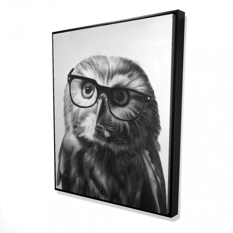 Northern Saw-Whet Owl avec lunettes