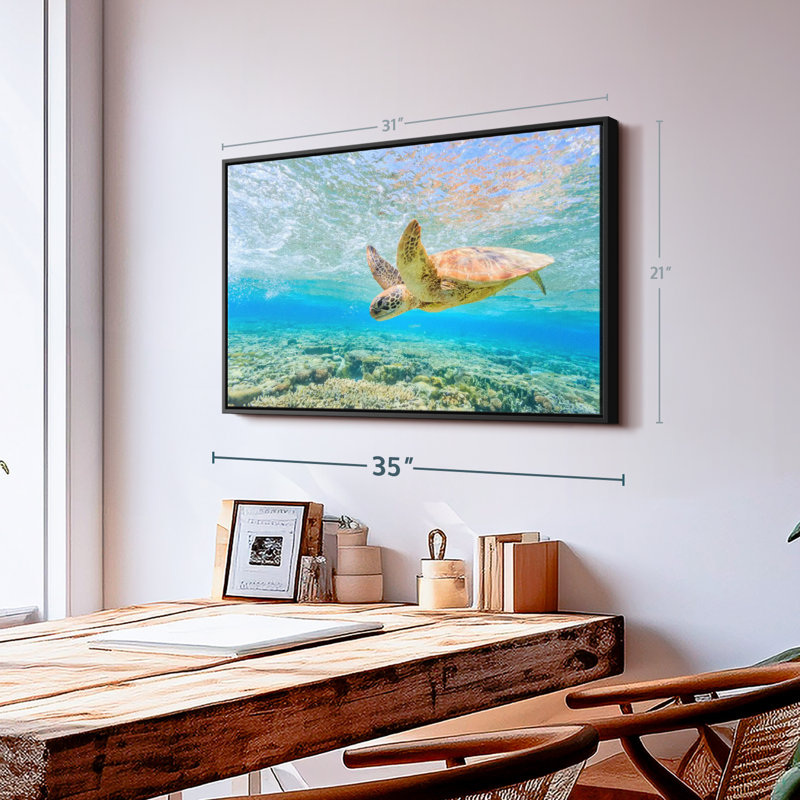 «Turtle Dive», reproduction sur toile, H 21 po x l 31 po