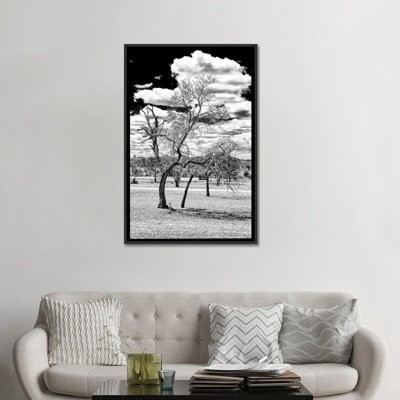« isard south africa series dead tree », reproduction de photo sur toile tendue