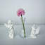 Mini-vases en verre pour fleurs