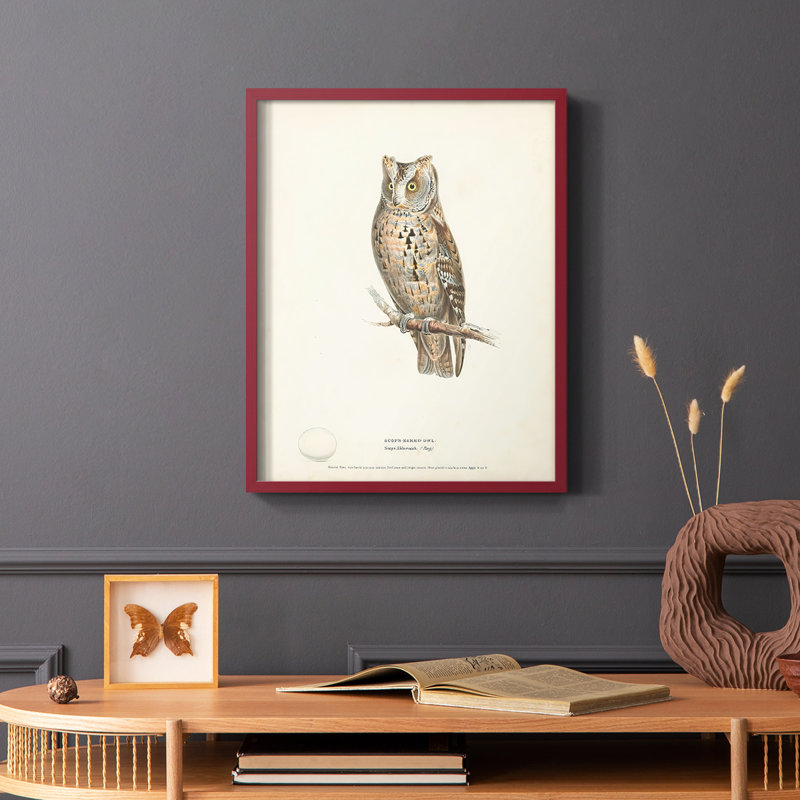 Reproduction encadrée Scops Earl Owl - bois massif, Rouge, H 10 po x l 8 po