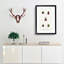 Beetle Illustrations PL.15 by Charles D'Orbigny - Single Picture Frame Print-55544116-55544114