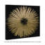 «Abstract Sunburst Golden Night», impression-119864311-51241194-51241196