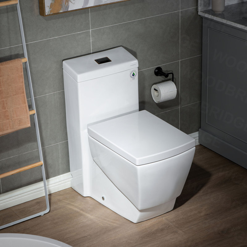 Dual-Flush Elongated One-Piece Toilet, Oil Rubbed Broze