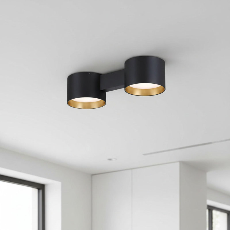 UltraBeam 20 Watt Twin LED Flush Ceiling Light Fixture, Black