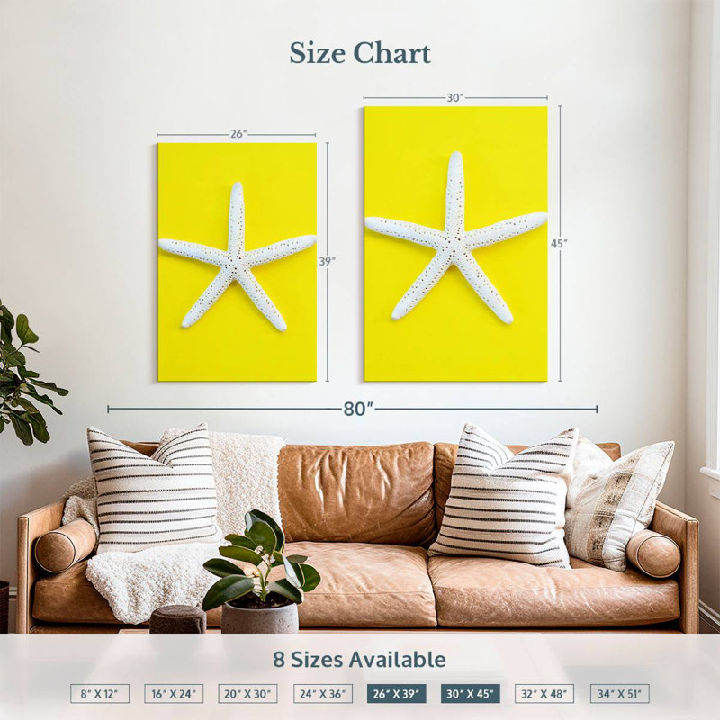 Brampt White Sea Star, 39" H x 26" W