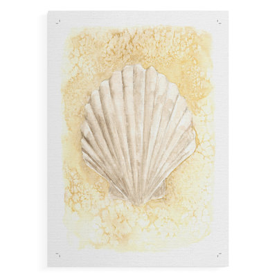 Salty Seashell II -Canvas Print Only - NOT FRAMED