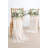 Banneker 17'' Pampas Grass Plant