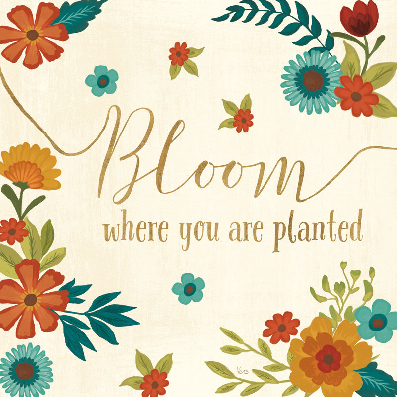 Flourish I by Veronique Charron - Wrapped Canvas Print, 51cm H x 51cm W x 3.8cm D