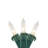50-Count Mini Christmas Light Set 10ft Wire-1053283115
