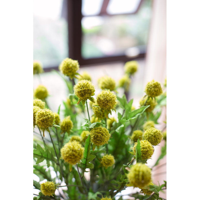 Pompon Arrangement, Green