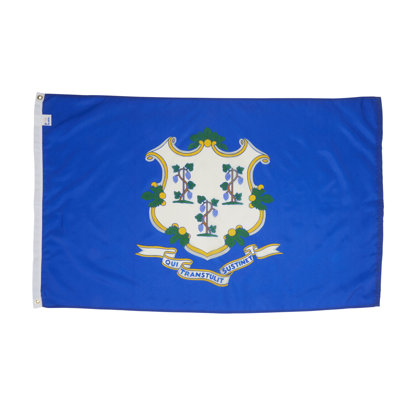 Double Sided House Flag