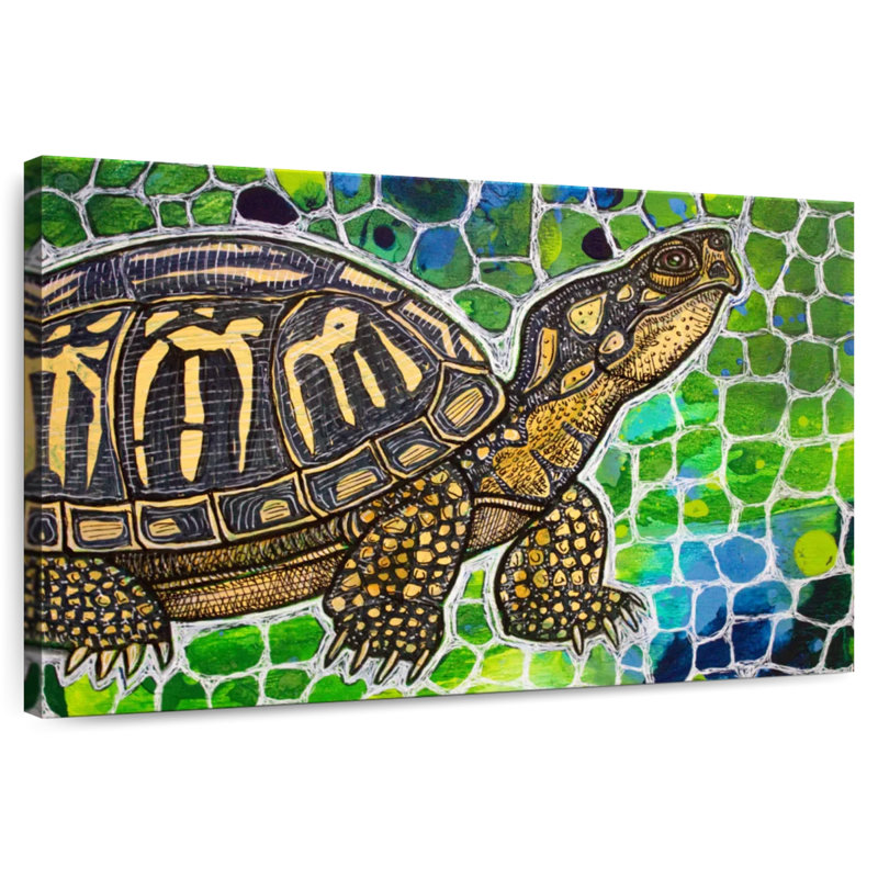 Brampt Eastern Box Turtle, 16" H x 24" W