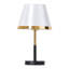 Iron USB Desk Lamp