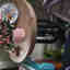 Photos des clients 1 de 1