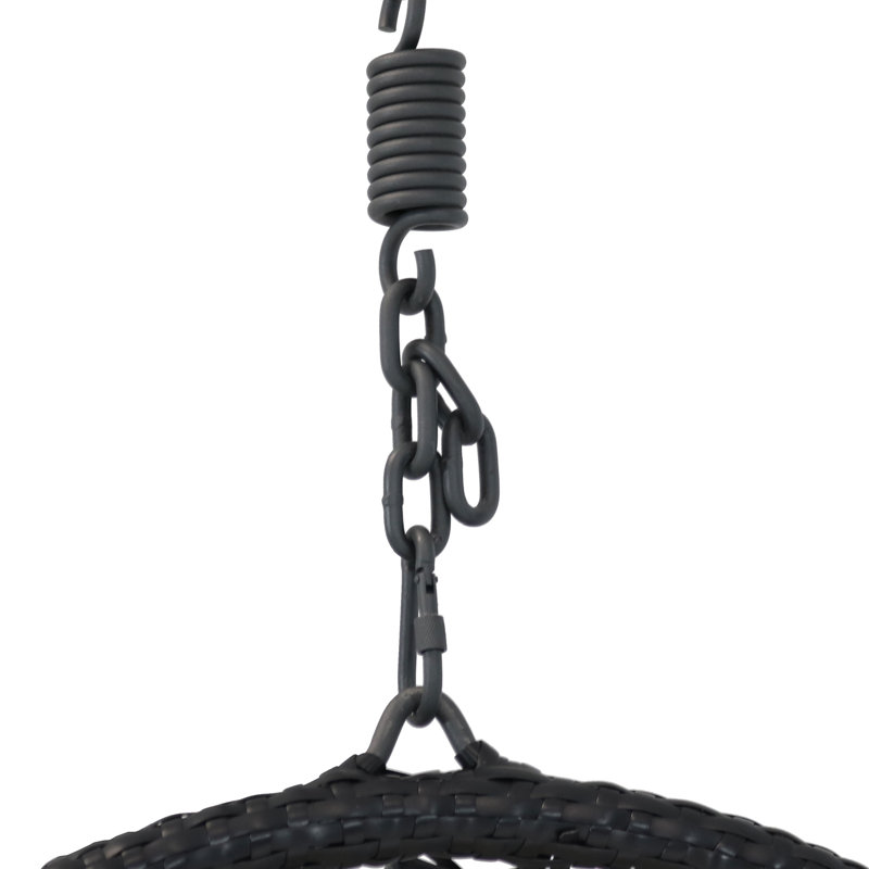 Wein Resin Wicker Egg Hanging Chair with Cushions, Gray