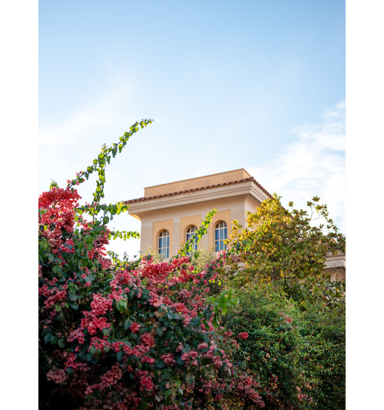 Wrapped Canvas Print, 76.2 cm H x 50.8 cm W