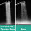 hansgrohe Raindance S Showerhead 180 1-Jet PowderRain, 2.5 GPM-62043422-122427628
