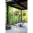 Outdoor Armed Sconce