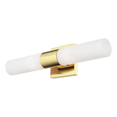 Cailum 2-Light Dimmable Vanity Light