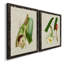 Impression encadrée Elegant Tropicals IPremium - prête à être accrochée-84713492-84878295-84713512