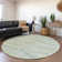 Machine Washable Indoor/Outdoor Claudian ACN1587 Sage Rug