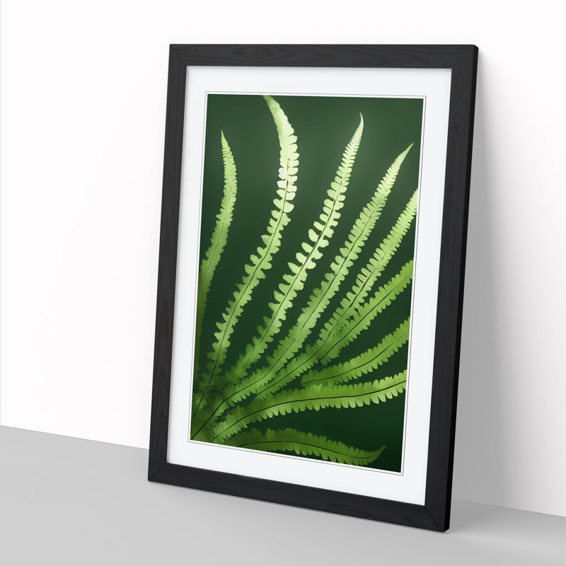 Aayam Fern Leaf Beauty - Picture Frame Print, Black, 64cm H x 46cm W x 2cm D