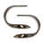 Plated Brushed Oil Rubbed Bronze selected