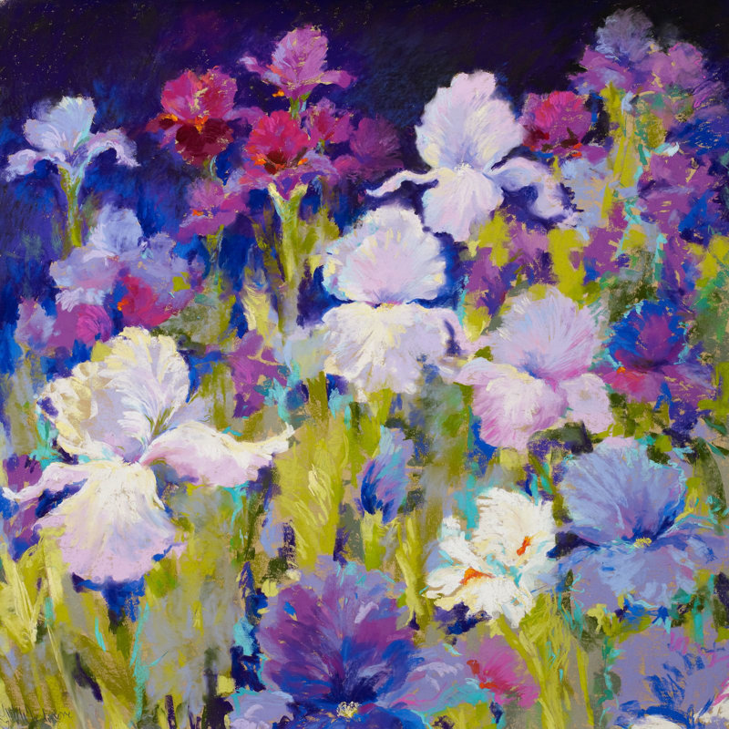 Irresistible Iris - Wrapped Canvas Art Prints, 70cm H x 70cm W x 4cm D