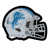 Detroit Lions
