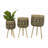 Mode Pot Planter