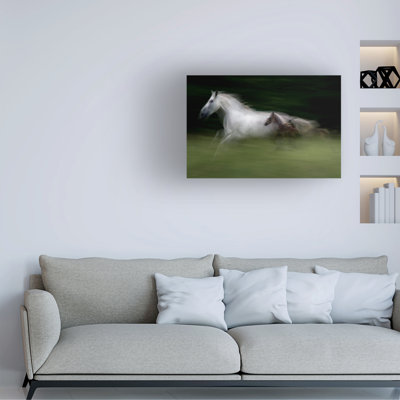 Milan Malovrh In Nspeed Canvas Art