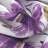 April Flowers Room Darkening Window Curtain-130653421