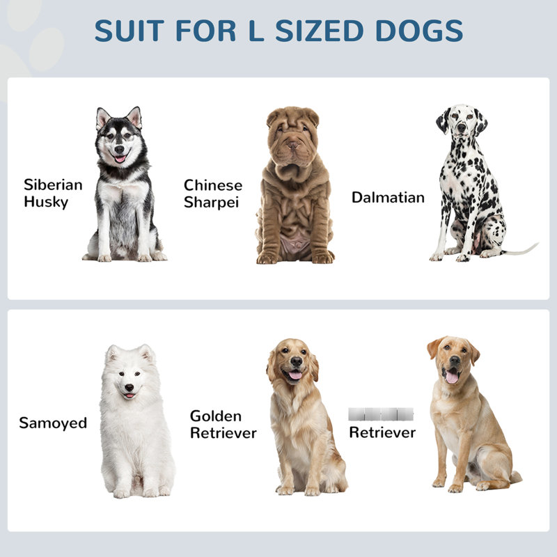Grand support d'alimentation pour chien - Bols et rangement surélevés - rouille, installation blanche avec rangement pour chiens