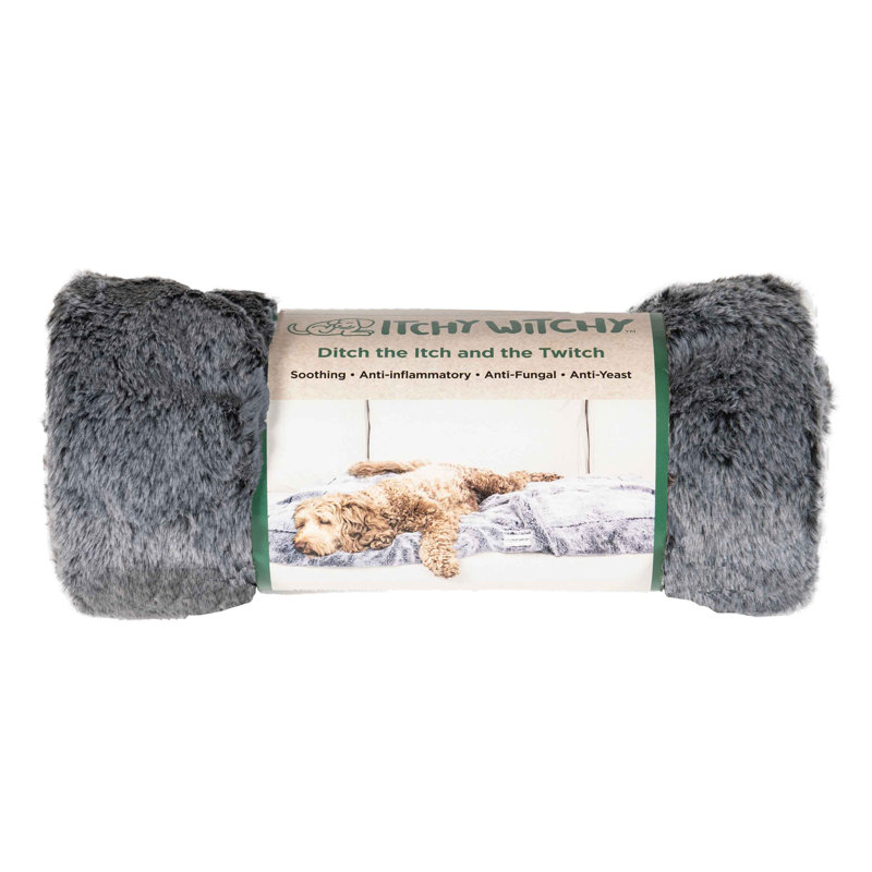 Couverture Itchy Witchy, Noir, L 40 po x L 50 po