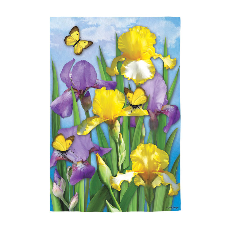 Drapeau iris en suède de printemps