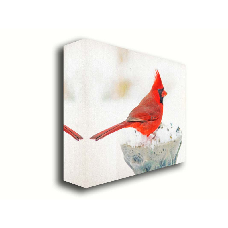 Cardinal en blanc par Hal Halli. Estampe numérique, H 40 po x l 50 po, Toile tendue, Ne s’applique pas