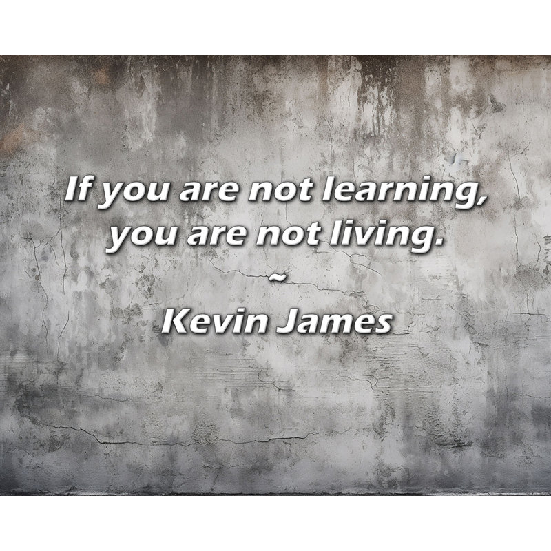 Citation artistique «Si vous n'apprenez pas, vous ne vivez pas. Toile tendue par Kevin James Gallery, H 28 po x l 40 po