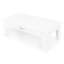 Hoyos Coffee Table with Storage