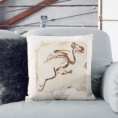 Square Throw Cushion